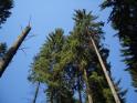 Bilder privat 114